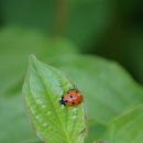 광주TNR동물병원(송정) 이미지