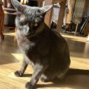 신미소다방 이미지