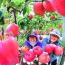 학림농장 이미지