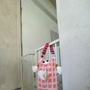 도기로움 | 광진구 애견미용실 아이들이 편안하게 미용받을 수 있는 곳 도기로움 후기