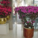 조이플라자 이미지