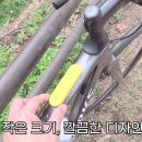 정태윤 | 5개월 실사용 후기: Knog SCOUT 장거리 라이딩 리뷰