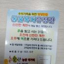 촌애란 네이버블로그