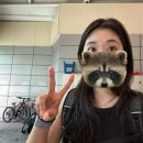 영광문화사 | [대전 여행] 한여름의 대전 빵투어 (정동문화사, 성심당샌드위치, 망고롤)