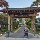 이마트24 구룡포동백꽃점
