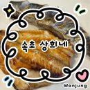 상희 | 속초 자연산 생선구이 맛집 상희네 후기:: 속초 고속버스터미널 근처 집밥같은 점심맛집 추천✨