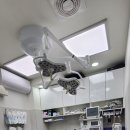 동물병원 유피 이미지