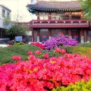 서울외국인학교 이미지