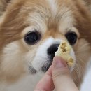 GS25 만수나래점 | GS25 편의점 과자 추천, 메론킥·버터갈릭팝콘 후기