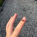 안중북로 | 평택 캠핑⛺:낭만팩토리 내돈내산 후기_