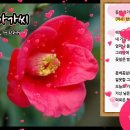 동백 아가씨 | 오카리나 이미지
