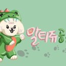 댕댕미용 네이버블로그