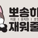 뽀송하개 이미지
