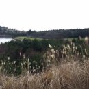 라데나 제주 이미지