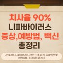 백신농장 | 치사율 90% 니파바이러스: 치사율·증상·예방법 총정리!