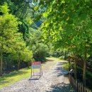 백야자연휴양림 이미지