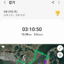 동백코스(서천-군산) 이미지