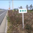 안좌도·팔금도 Daum카페