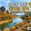 월류봉 둘레길 완정교 화장실 | 2026 영동 월류봉 둘레길 완벽 가이드 여울소리부터 반야사 호랑이까지 힐링 코스 총정리