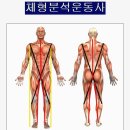 [8월 주말특강] 운동처방사 / 체형분석운동사 자격과정 안내(8명제한/책임교육). 이미지