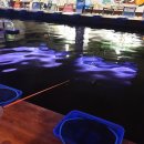 아마존실내낚시터 이미지