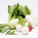 반디농장 이미지