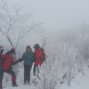 태백산 - 서구 완정로 151 | 태백산