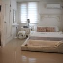 남이섬 봄펜션 이미지