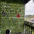 안면도위드유 이미지