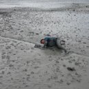 신안갯벌낙지식당 이미지