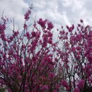 이정 경로당 | 정읍 산외면 비봉산, 물래봉, 채계산
