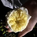 장성잔디생산자영농법인 | [나눔후기] 잔디박사님의 잔디나눔