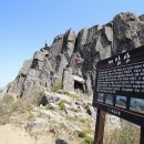 4월 특별산행 제암산~일림산(667.5m)철쭉산행16km 이미지