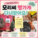 민트씨 빵가게 | 벌교 빵맛집 추천｜속 편한 천연발효빵, 모리씨 빵가게 다녀온 후기🥖