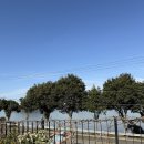 여수 갈릴리 독채펜션 | 내돈내산 아이랑 가기 좋은 독채펜션 여수 라로사 펜션 솔직후기