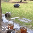 큰대문집 | 광주 부모님 모시고 가기 좋은 대형 한옥 카페 추천 큰대문집