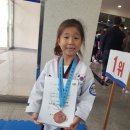 올림픽석사태권도 이미지