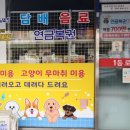 왔냥 또오개 이미지