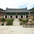 순천-52호 이미지