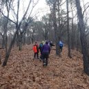 옥룡 대웅맨션 이미지