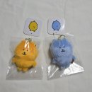 레인보우짐 | 나가노 마켓 8/28 재입고 레인보우 농담곰, 컬러곰 구매 후기 _ 짐패스 이용