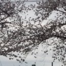 영등동-04 이미지