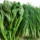 석수농장 이미지