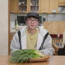 미식가 TV리포트