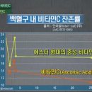 에스터 이미지