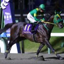 (주)이노브릿지 이미지