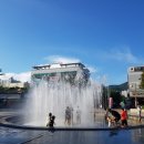 정관 돌고래광장 이미지