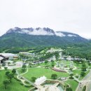 노블리안세탁소 | 속초 델피노리조트 소노문 객실 정보 (정원 및 부대시설) 스위트 후기