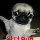 봄의 시작인줄 알았는데 겨울?