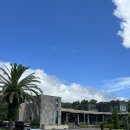 육치미 | 제주도 서귀포흑돼지맛집 육치미 분위기 맛 최고